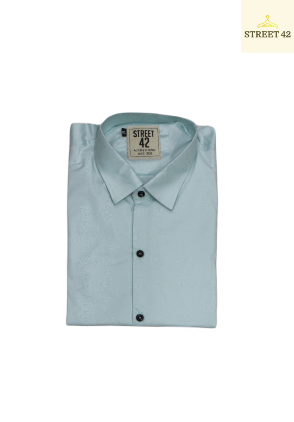 Sea Green Plain Casual Decent Shirt For Men