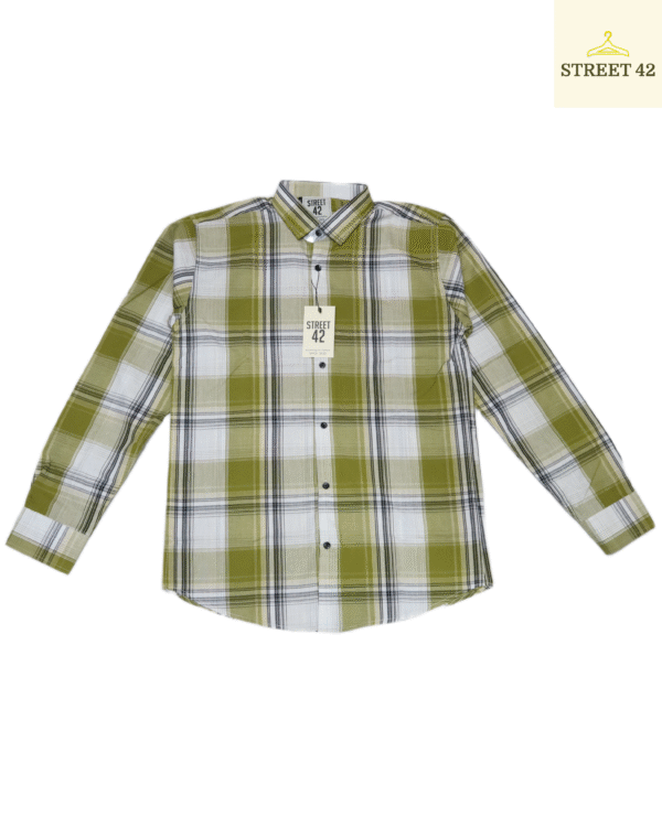 Green Basic Cotton Check Shirt For Men